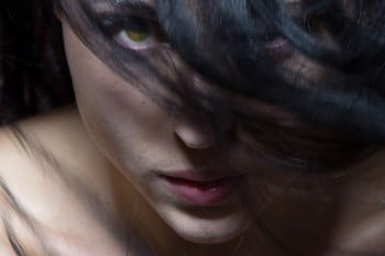 Pacific-Company---Cunning-Vixen