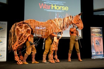 War Horse - Photographer David Wyatt