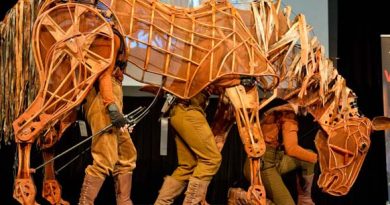 warhorse2_slider