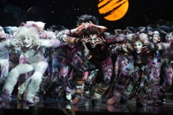Cats made it to Australia soon after the original production 