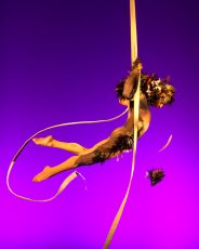 Dion Del Pino at the NICA 2012 Showcase - Photographer David Wyatt