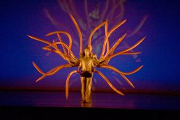 Momix-Botanica-2