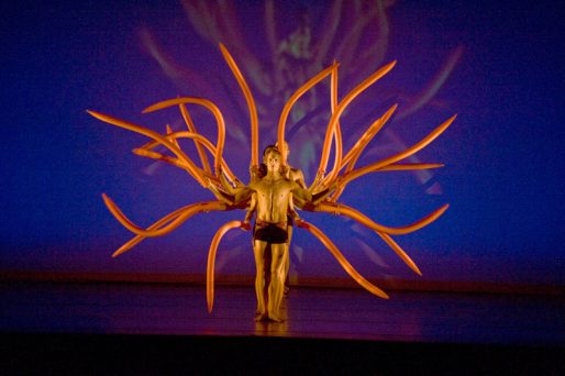 Momix-Botanica-2