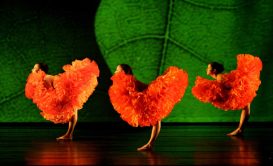 Momix-Botanica-3