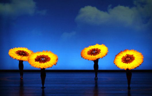 Momix-Botanica1