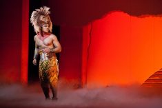 MelbTheLionKing_4_BelindaStrodder