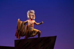MelbTheLionKing_6_BelindaStrodder