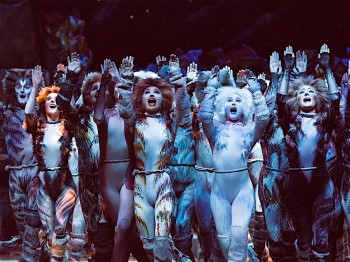 The cast of CATS the musical in Adelaide. Image by Oliver Toth