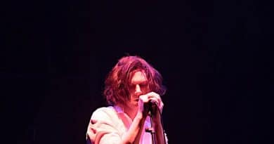 Cameron Goodall in The Sound of Falling Stars