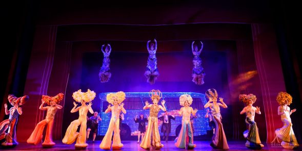 023_Oliver_Toth_Priscilla the Queen of the Desert_adelaide
