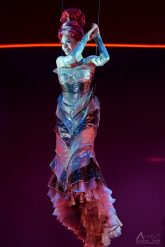 038_Oliver_Toth_Priscilla the Queen of the Desert_adelaide