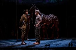 War Horse 4
