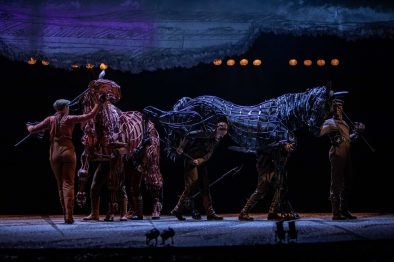 War Horse 8
