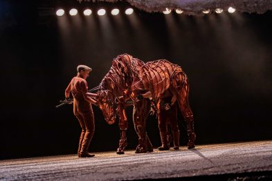 War Horse 9