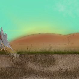 Victorian Opera's Baby Bilby Sings