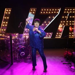 Trevor Ashley as Liza Minnelli