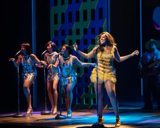 TINA The Musical