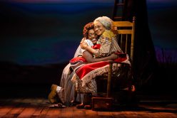 TINA The Musical