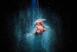 Matt Beard_LUZIA_SAN_JOSE_345